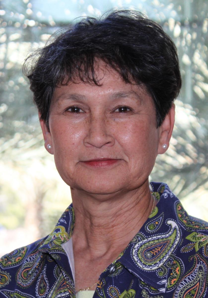 Professor and Director of Phoenix Programs, UA College of Public Health